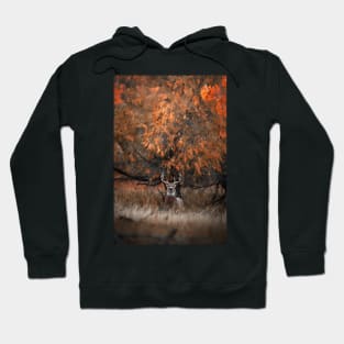 Big White Tailed Buck Hoodie